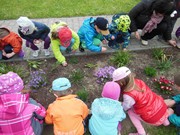 Pečujeme o květinový záhonek